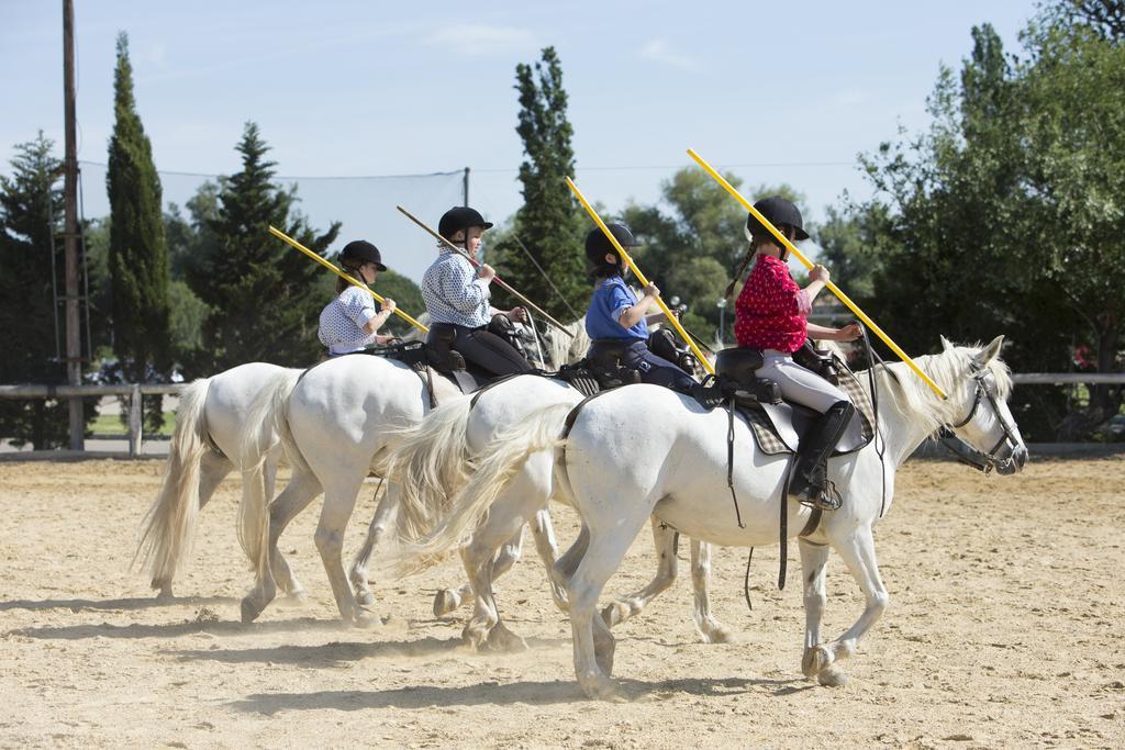 Hotel Club Village Camarguais 3*